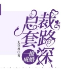 总裁撩妻有一套