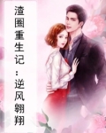 渣圈重生记:逆风翱翔