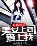职场秘闻:美女老板爱上我