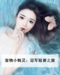 宠物小精灵：冠军联赛之旅