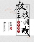 教主每天都在被灭