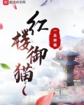 红楼御猫 百度小说