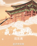 我在苦境说东离免费阅读