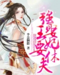 强娶王妃要休夫 小说