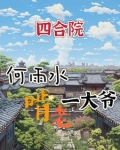 四合院:何雨晨
