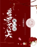 爱君不关风与月txt