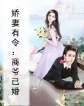 商少娇宠无双妻