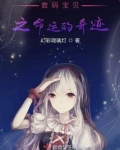 数码宝贝之命运的奇迹