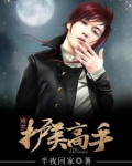 绝世护美高手
