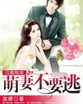 闪婚萌妻宠上瘾小说