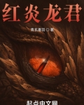 红炎龙君有女主角吗