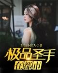 绝品都市圣手