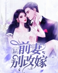 亿万婚约前妻已改嫁 小说