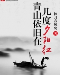 一抹残阳映青山TXT免费下载