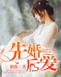 先婚后爱的小说推荐