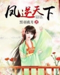 凤逆天下