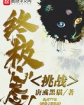 终极心态挑战