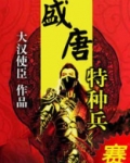 盛唐特种兵龙飞