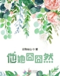 他她迦 云隐青山