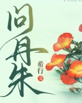 问丹朱每个人结局