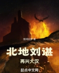 北地刘谌再兴大汉小说
