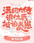 满级大佬退休后被迫养崽无弹窗