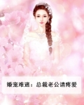 总裁老公请宠我免费阅读全文