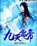 九天雷帝诀第一式雷帝降世那部小说
