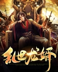 乱世狂婿免费