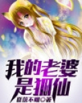 我的老婆是狐仙许飞全文免费