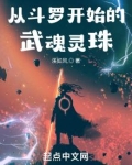 从斗罗开始的武魂灵珠下载