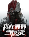 我在异界当反贼的等级