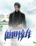 傲世龙帅秦尘