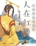 人在红楼，开局倭寇送经验