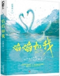 焰焰如我小说免费阅读无弹窗