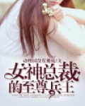 女神总裁的至尊兵王