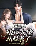 替嫁后残疾大佬站起来了北南