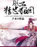 风云:精忠报国 子木TXT下载