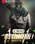 csgo载物表情包