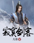 寂寞剑客全部小说