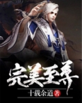 完美至尊十载余道