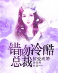 掠爱成婚错吻冷酷总裁 洛依然