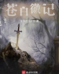 苍白徽记百度百科