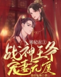 邪妃在上：战神王爷宠妻无度