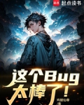 这就是个bug是什么意思
