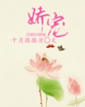 娇宠心肝小可怜小说全文免费阅读