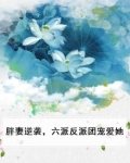 胖妻逆袭，六派反派团宠爱她