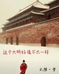 这个大明好像不太一样百度百科
