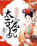 清穿之太子宠妃雅璃