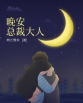 晚安总裁大人讲的什么
